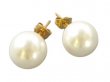 10mm White MOP Shell Pearl Stud Earring w/ 18k Gold Post Finding